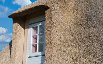 Mariansleigh thatch roof disadvantages